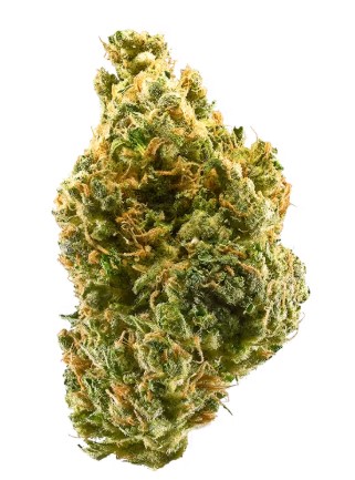 Picture of Tangie OG